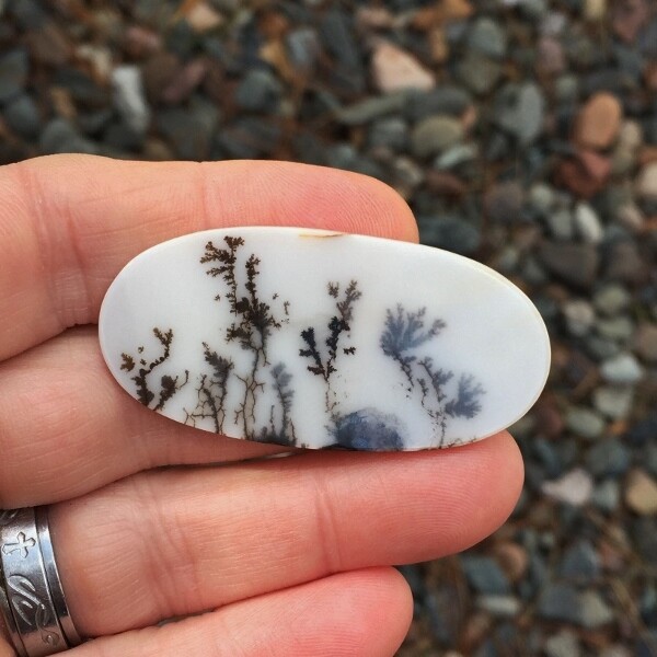 All Natural! Fine Quality Dendritic Agate India GLI