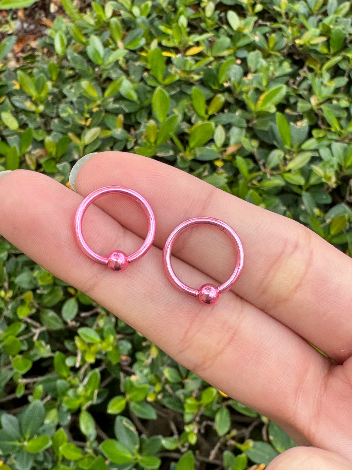 Captive Bead Ring surgical steel Pvd 14G Earrings Hoops Lip Belly Nipple 12PK
