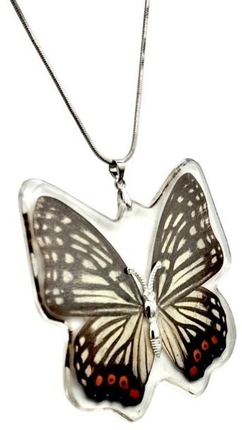 2 1/2″ NEW! Real INSECT White Black RED BUTTERFLY NECKLACE Jewelry PENDANT
