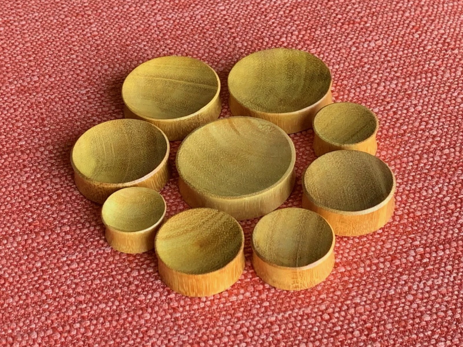 PAIR Concave Jackfruit Wood Plugs Gauges Earlet Organic Body Jewelry Large Sizes