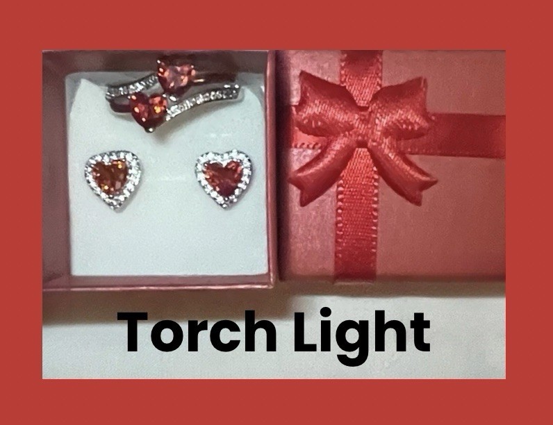 Exquisite Red Garnet CZ Double Heart Ring Size 10 & CZ Halo Heart Earrings Set