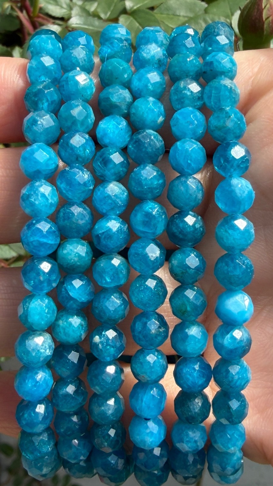 Wholesale 6 Pcs Natural Apatite 6mm Faceted 7.5” Stretch Bracelet