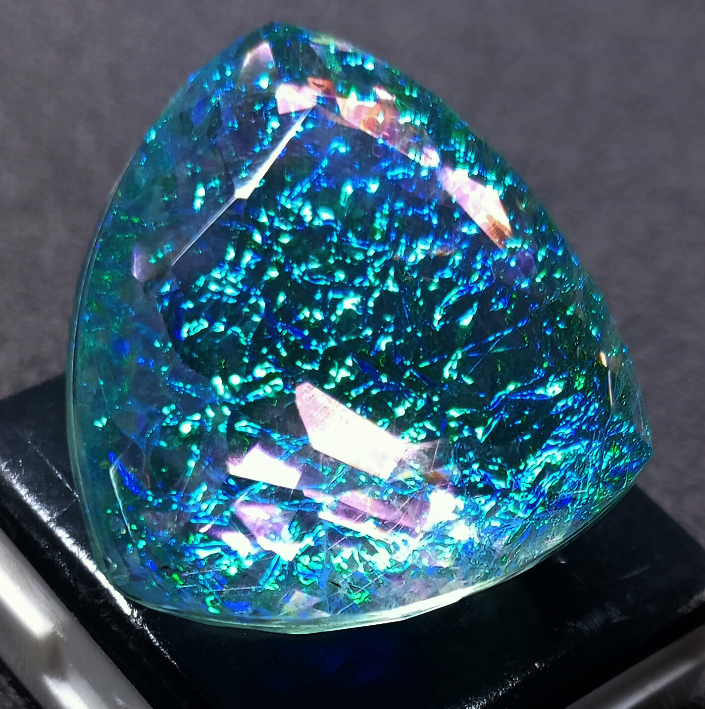 Natural Monarch Fire Opal Doublet Trillion Certified 58.55 Ct Loose Gemstone