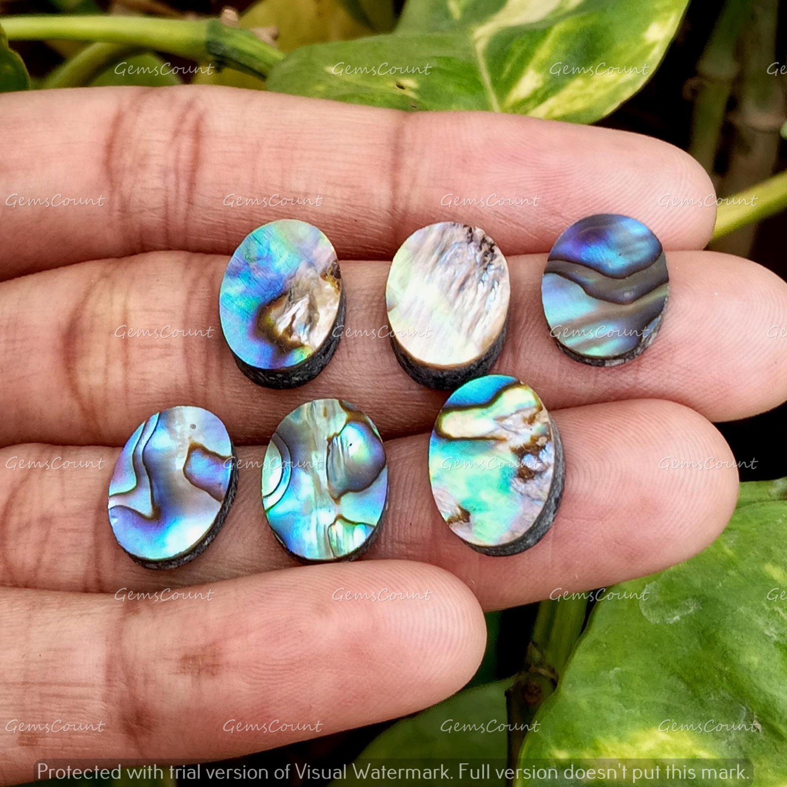 Natural Abalone Shell Flat Back Oval Cabochon Loose Gemstone 5x7mm-15x20mm