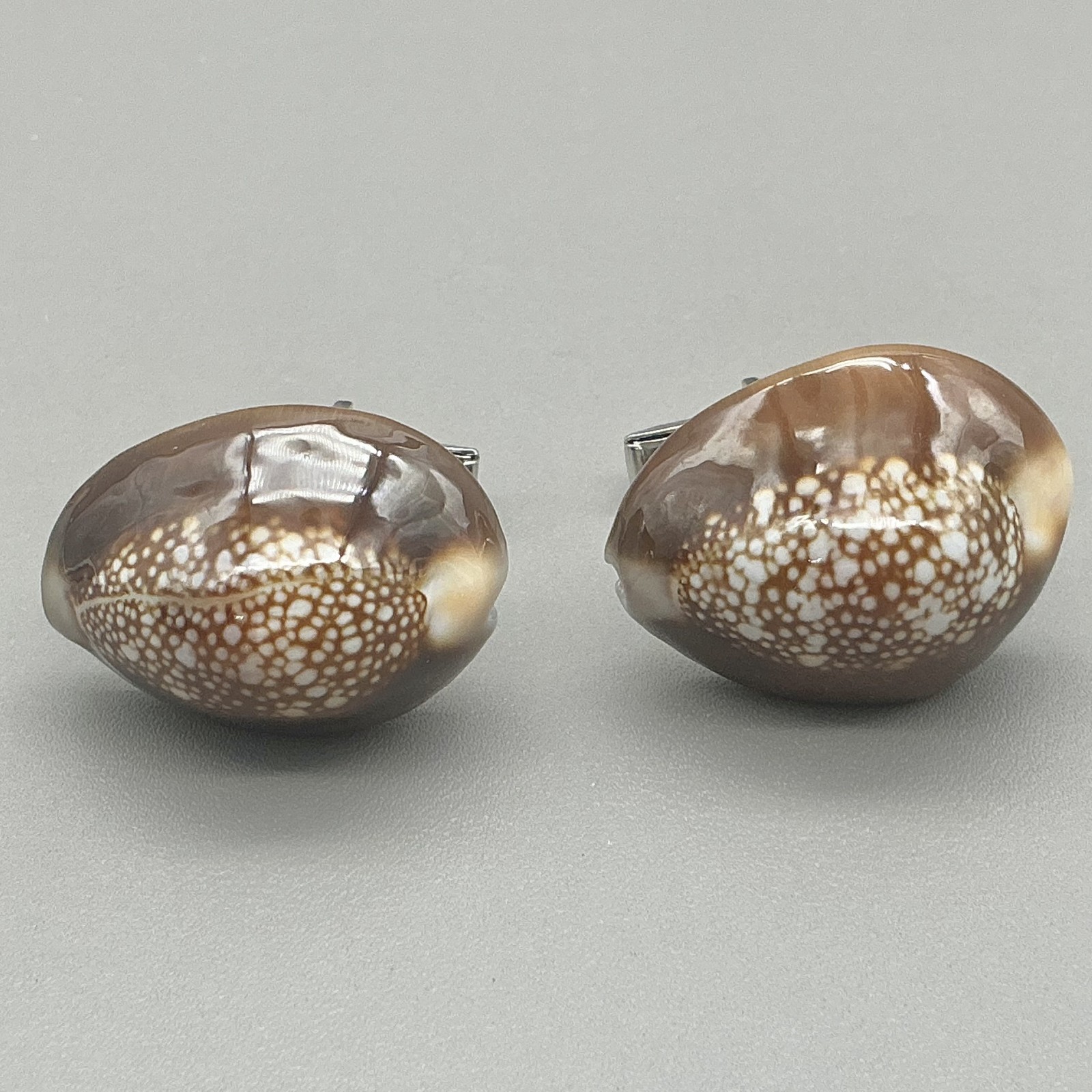 Cowrie Shell Cufflinks Men’s Natural Seashell Brown White Silver Tone Coastal