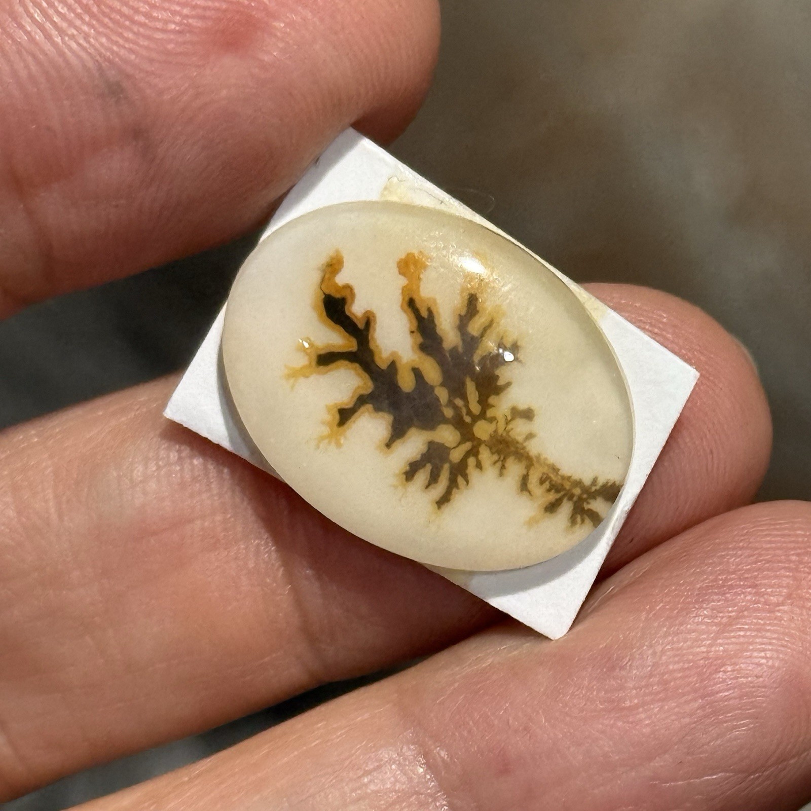 10.7ct 21×15.7×4.2mm Dendritic Agate Crystal Doublet Oval Cabochon Picture Stone