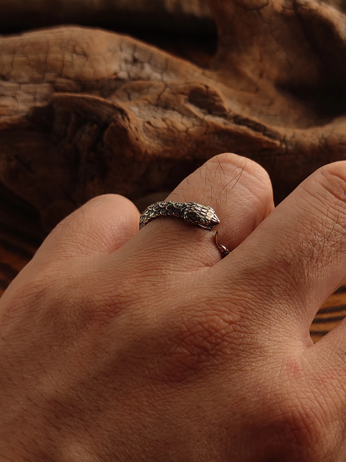 NIGHT WORKS Ouroboros S925 Silver Retro Texture Adjustable Ring for 7-9 Size
