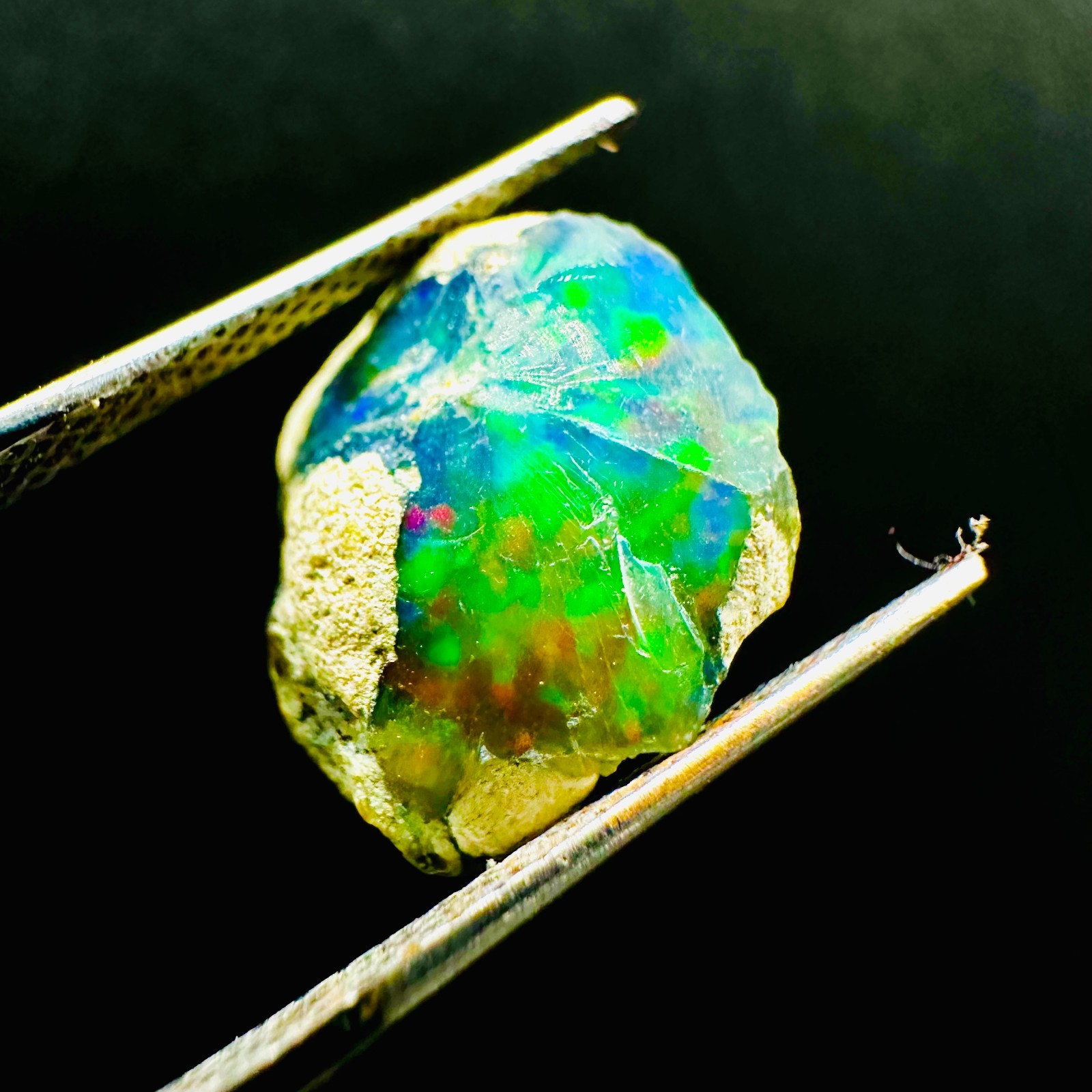 Natural Ethiopian Welo Black Opal Rough, Vibrant Rainbow Opal Fire 4ct 15x12MM
