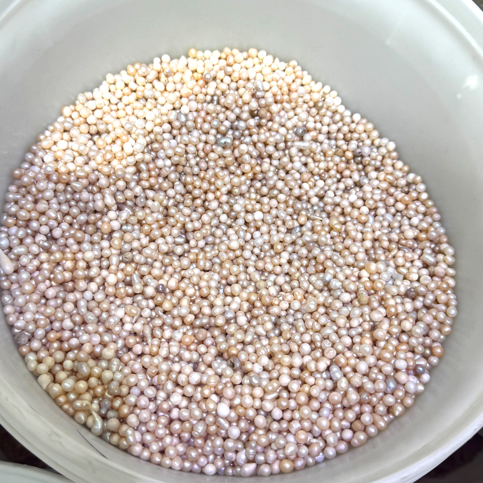 50g 200PCS 2-3mm Mini Cultured Pearl Loose Beads Baroque White Freshwater DIY