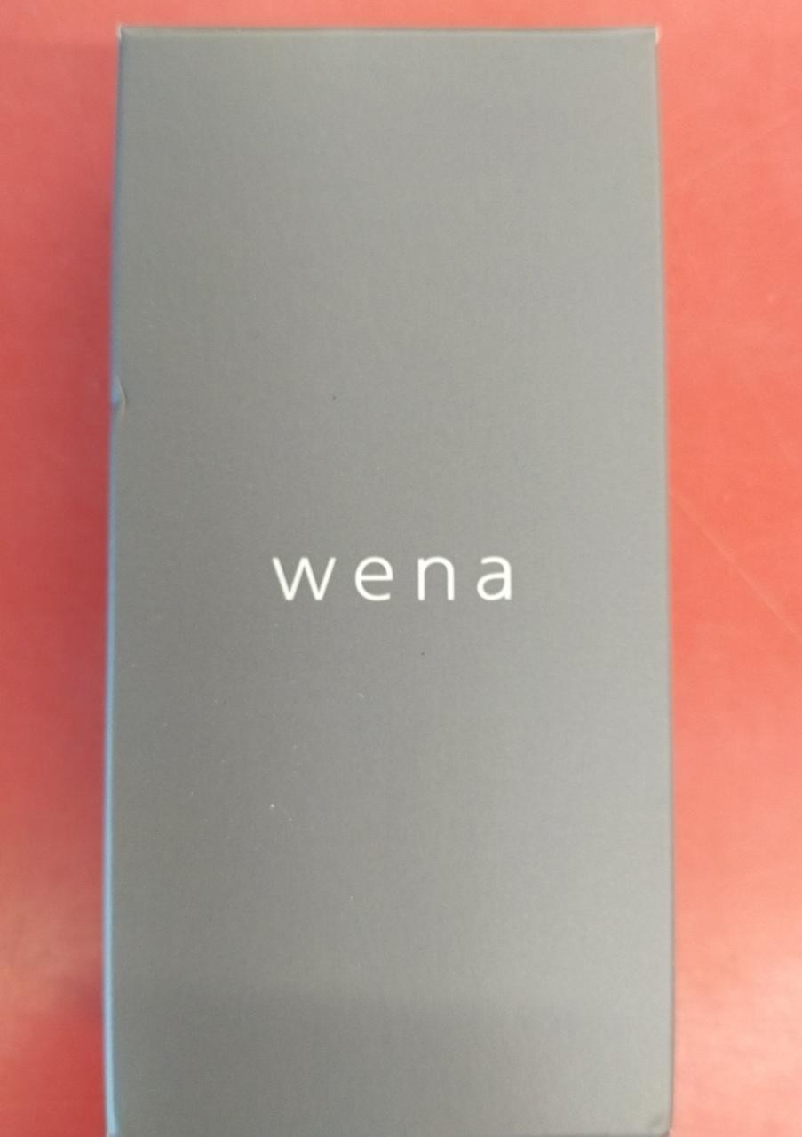 wena 3 End Piece WNW-EP242 Silver NEW