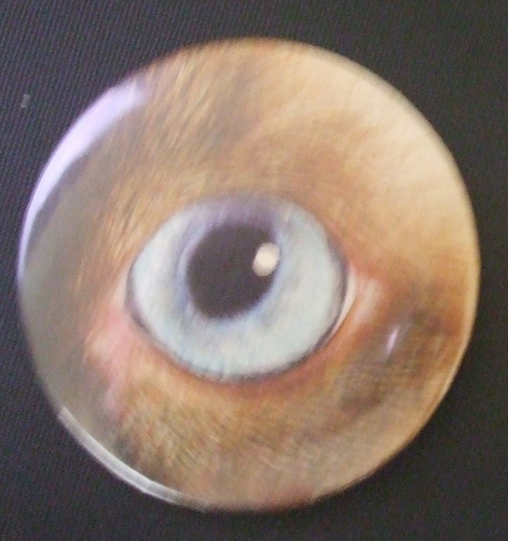 Misc dog eye & nose Pinback Buttons – 2″ inch