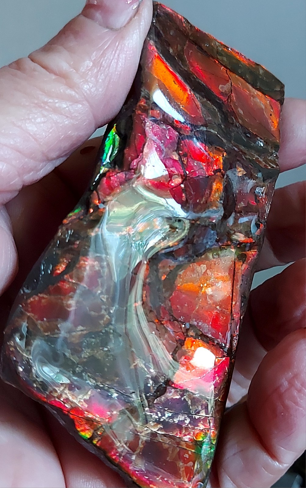 Ammolite Ammonite tabletop Display Color Changer Piece 99.845×12.3mm 5757