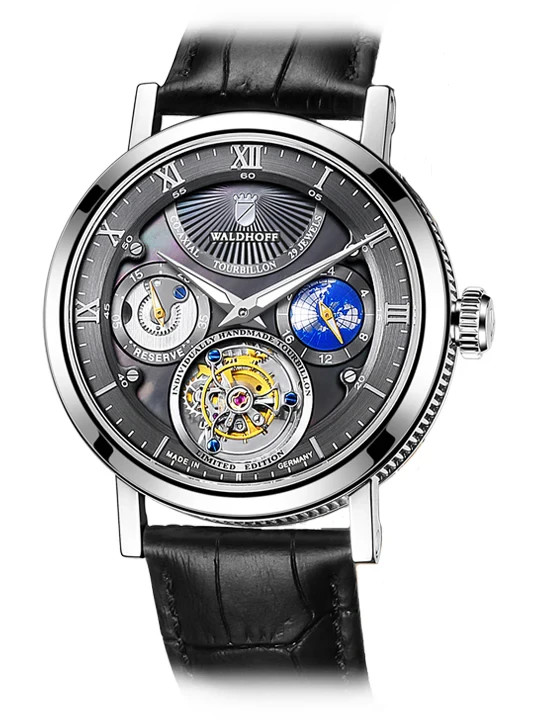 Waldhoff Co-Axial Tourbillon 29 Jewels Limited Edition