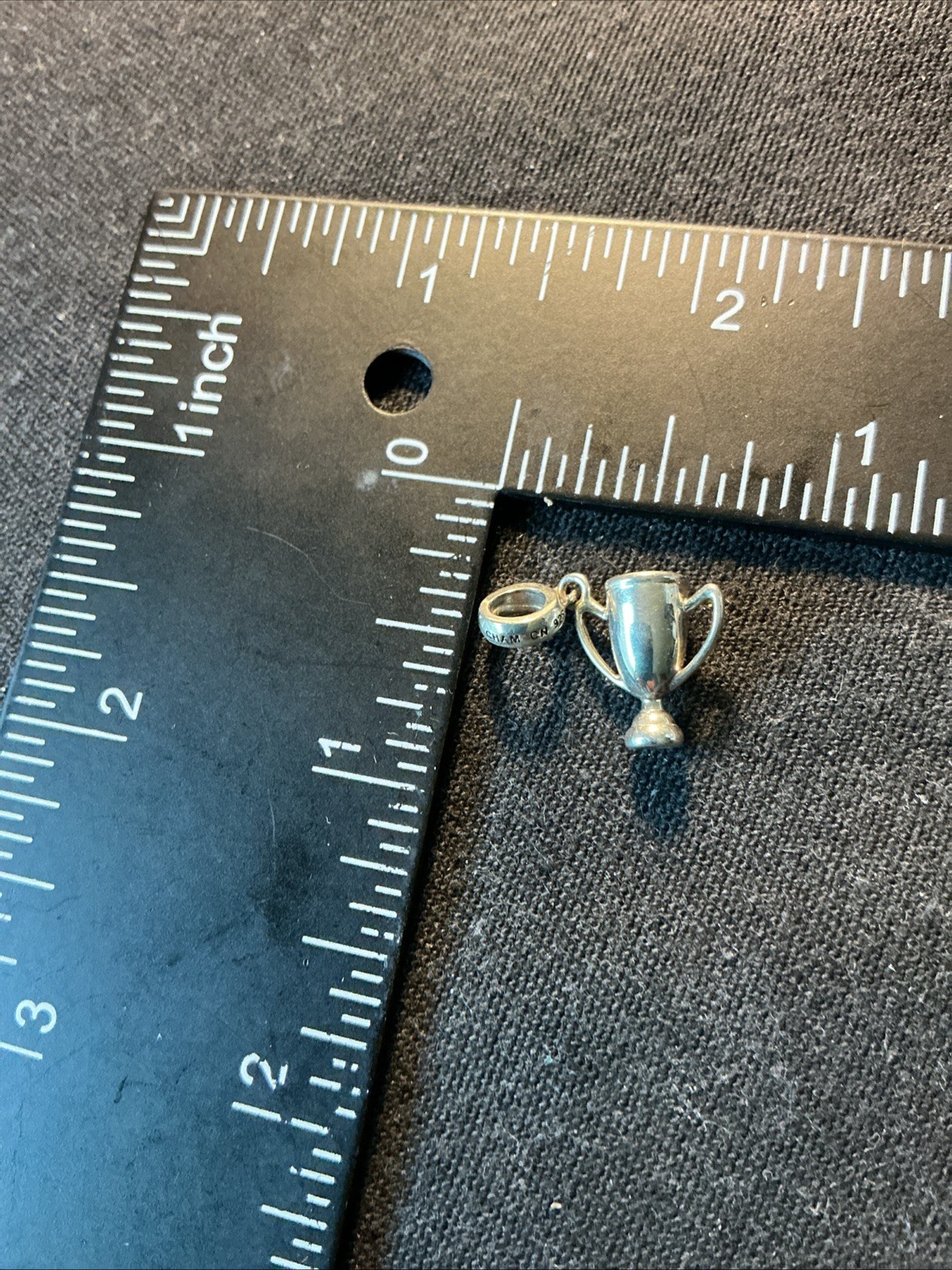 Chamilia Sterling Silver CHAM CN 925 TROPHY ROOM #1 Charm 2010-3372 Lot AP0090