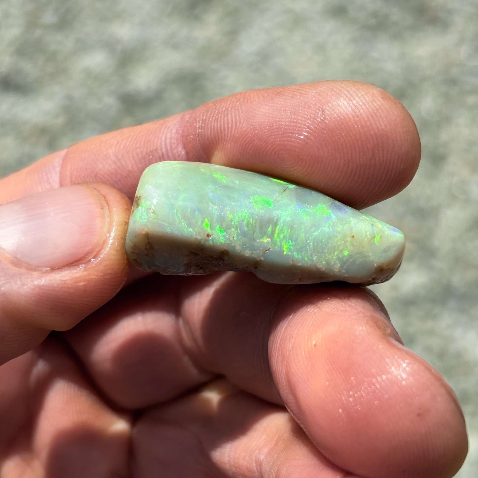 39 carat Lightning Ridge Australian Rough Opal Green Blue – EO-255 Opal UK