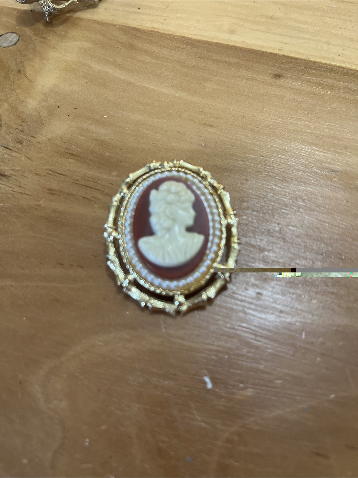 Gold Tone Cameo Brooch Oval Frame Raised Woman Profile Beauty Theme