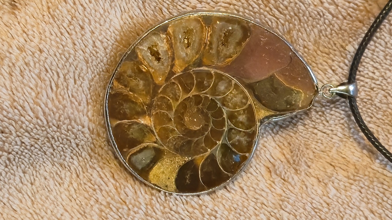 Genuine Ammonite Fossil Pendant Sterling Silver Sliced Polished Crystal Agate