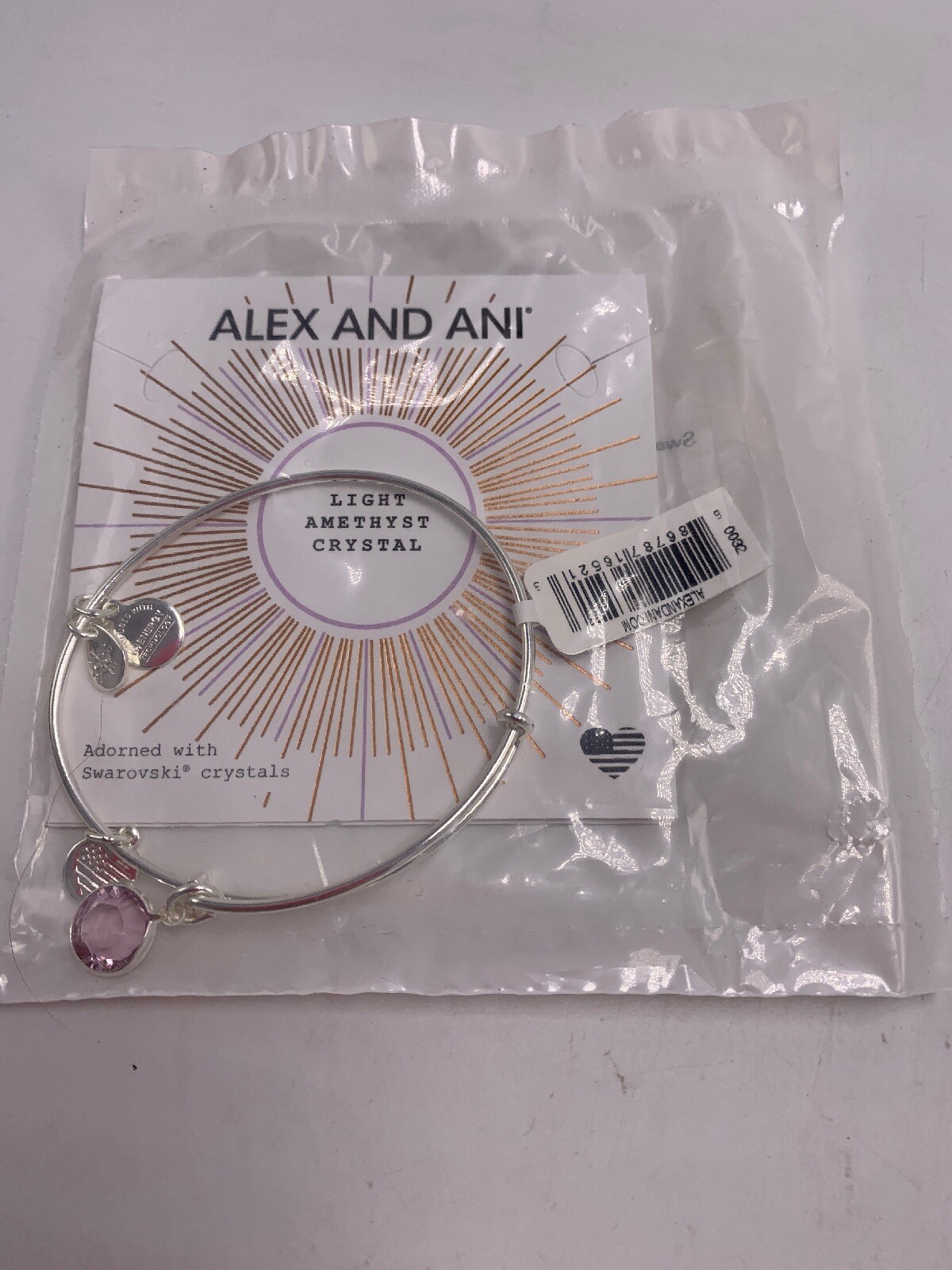 Alex and Ani June Color Code Amethyst Bangle Bracelet Shiny Silver T1a
