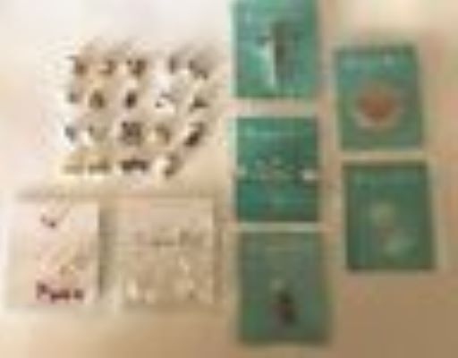 Origami Owl 2020 Christmas Holiday Collection Free Shipping