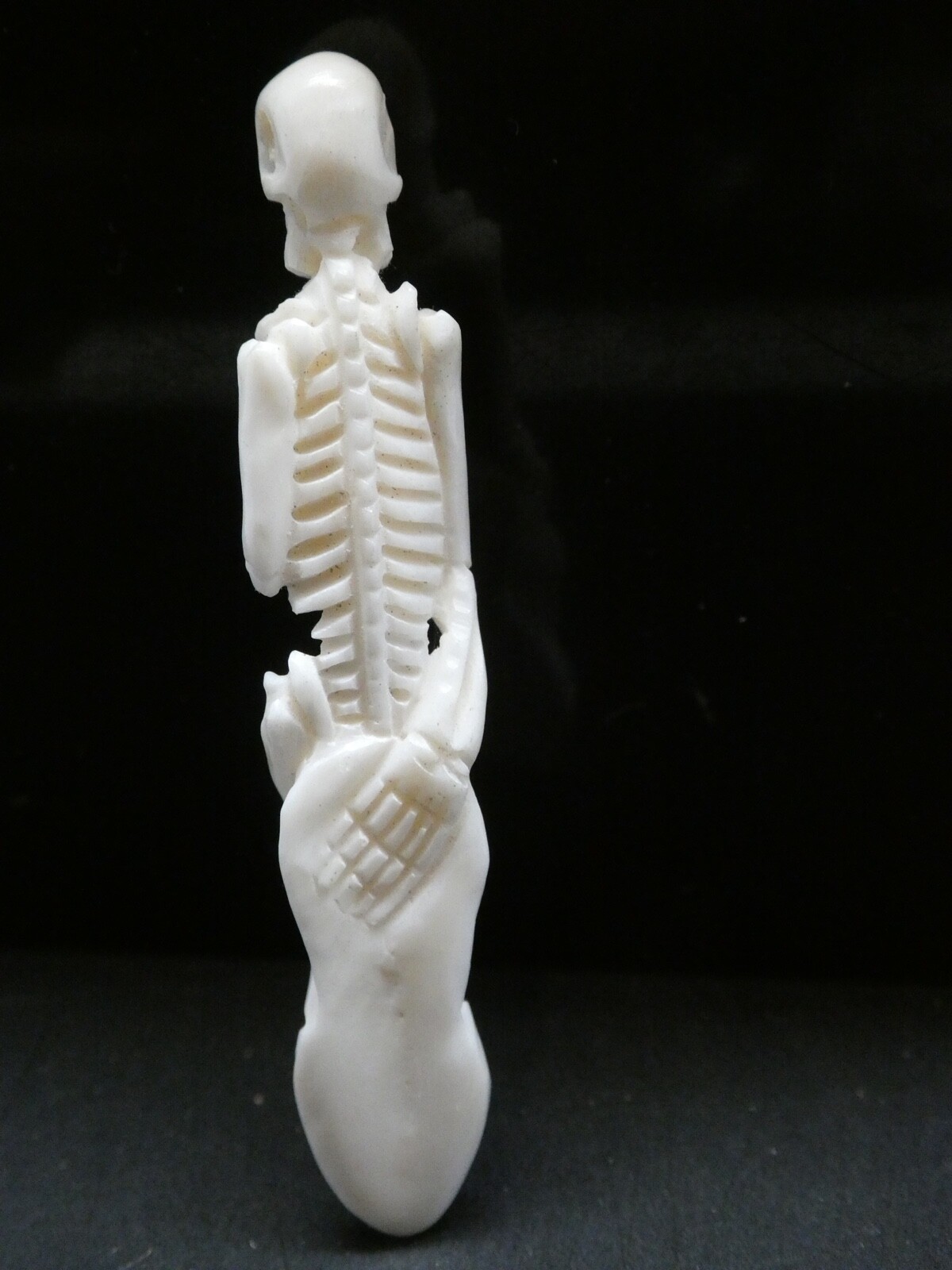 Skeleton Standing Double Sided Anatomical Natural Water Buffalo Bone Pendant