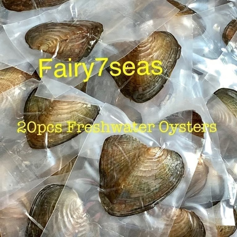 20 Individually Wrapped Oysters-Freshwater Oyster Each With 7-8mm Round Pearl