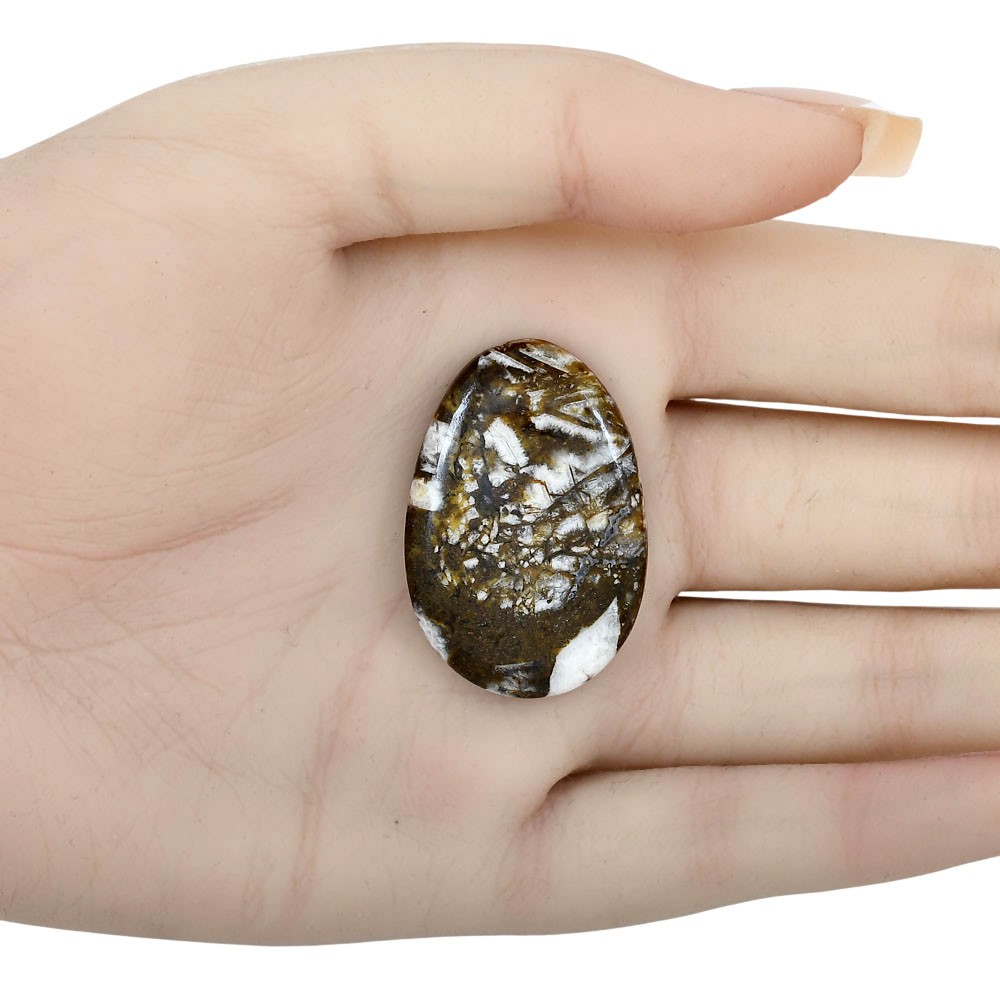 Natural Wild Horse Jasper 32.52x24x5.4 mm Oval Polished Gemstone LS01160-15