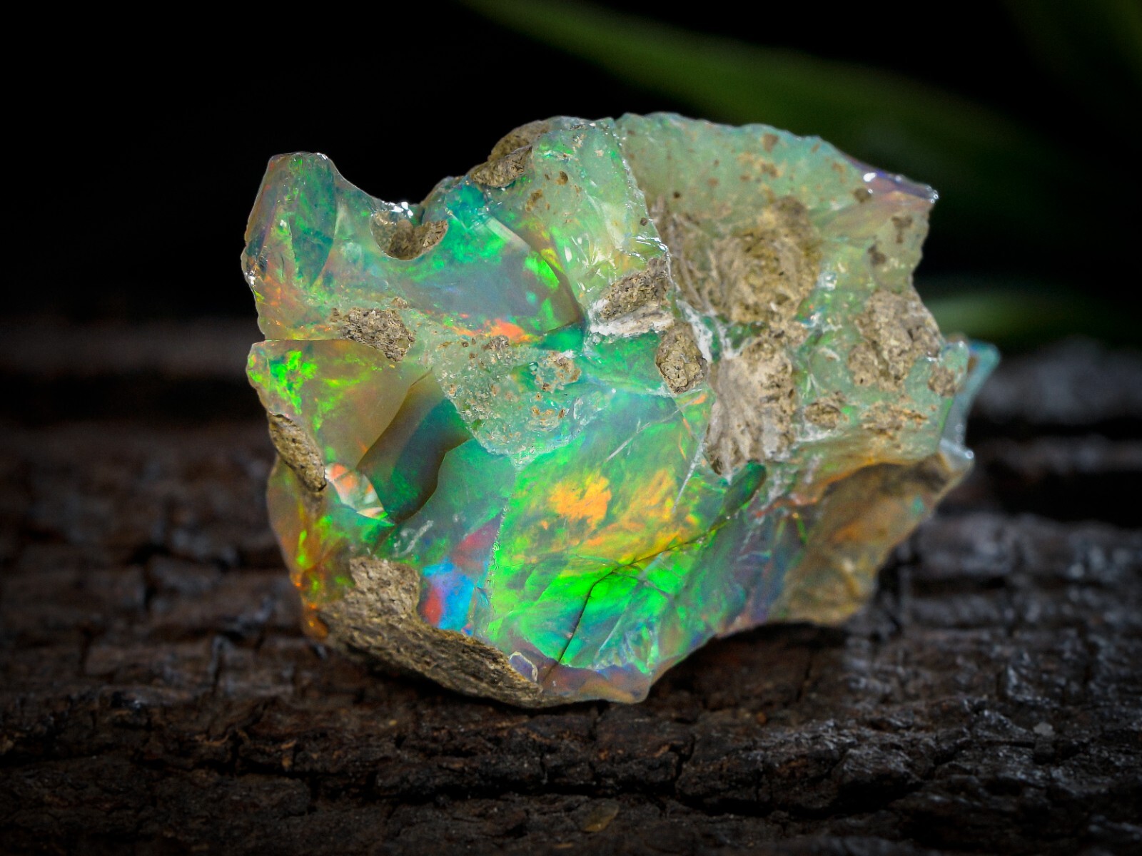 Rare Natural Ethiopian Opal Row Rough 32x18x11.5 MM Loose 26 Crt Gemstone#11