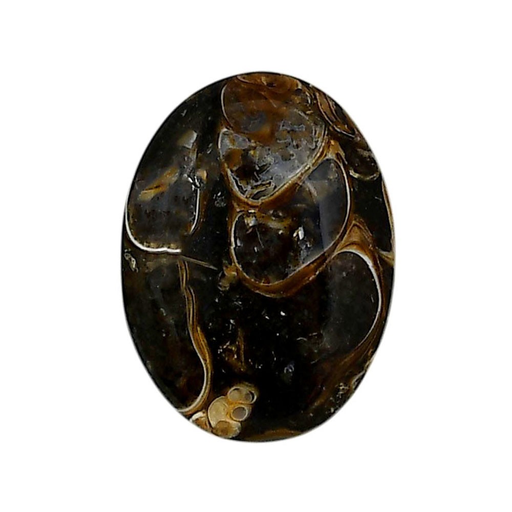 Natural Turtella Jasper 18.5x25x6 mm Oval Shape Polished Gemstone LS70-05795