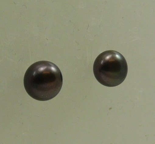 Freshwater Black Button Shape Pearl Earring 14k White Gold Post and Push Back