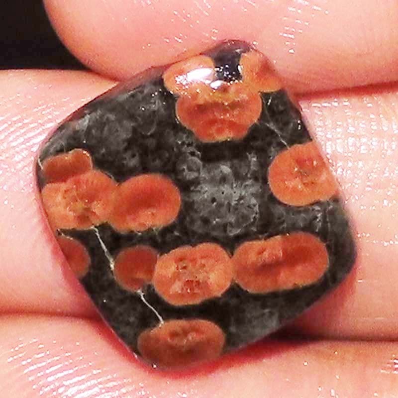 16.15CT 18X19X5mm Natural Georges Mexican Peanut Obsidian Cushion Cabochon stone