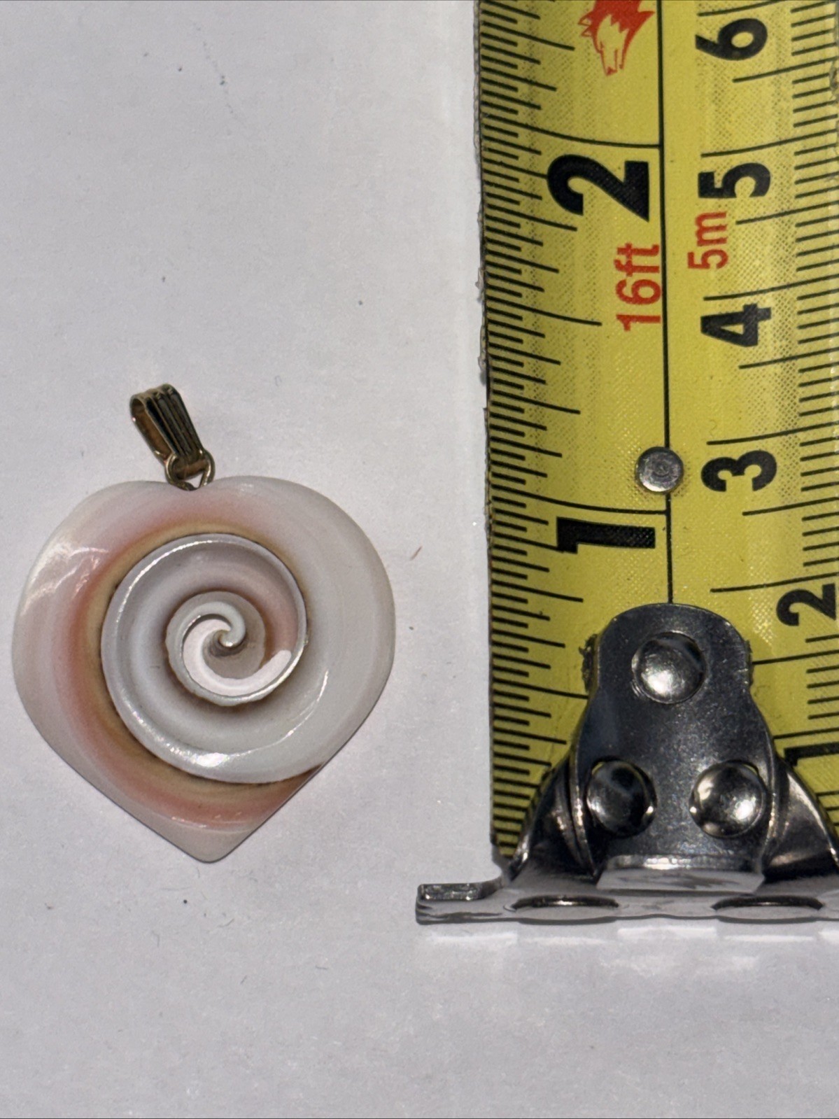 Natural Seashell Heart Shaped Nautilus Style Spiral Pendant Gold Tone Clasp