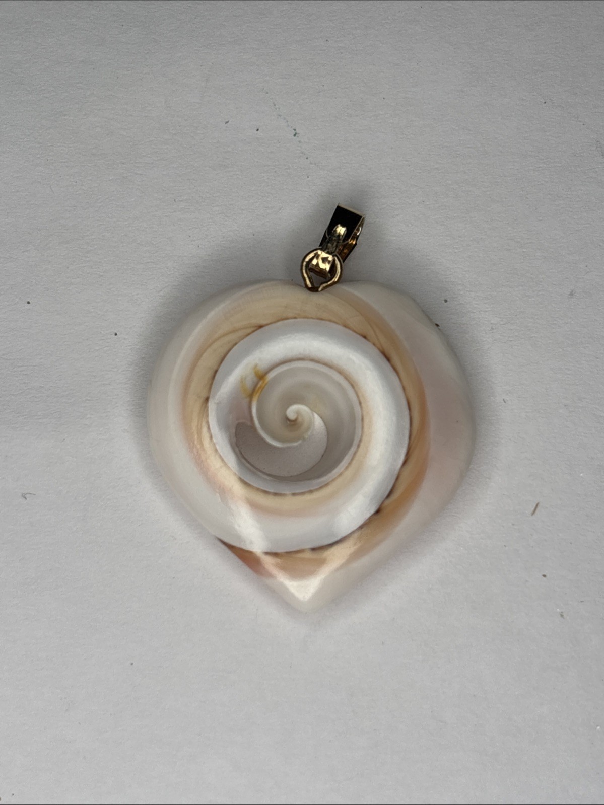 Natural Seashell Heart Shaped Nautilus Style Spiral Pendant Gold Tone Clasp
