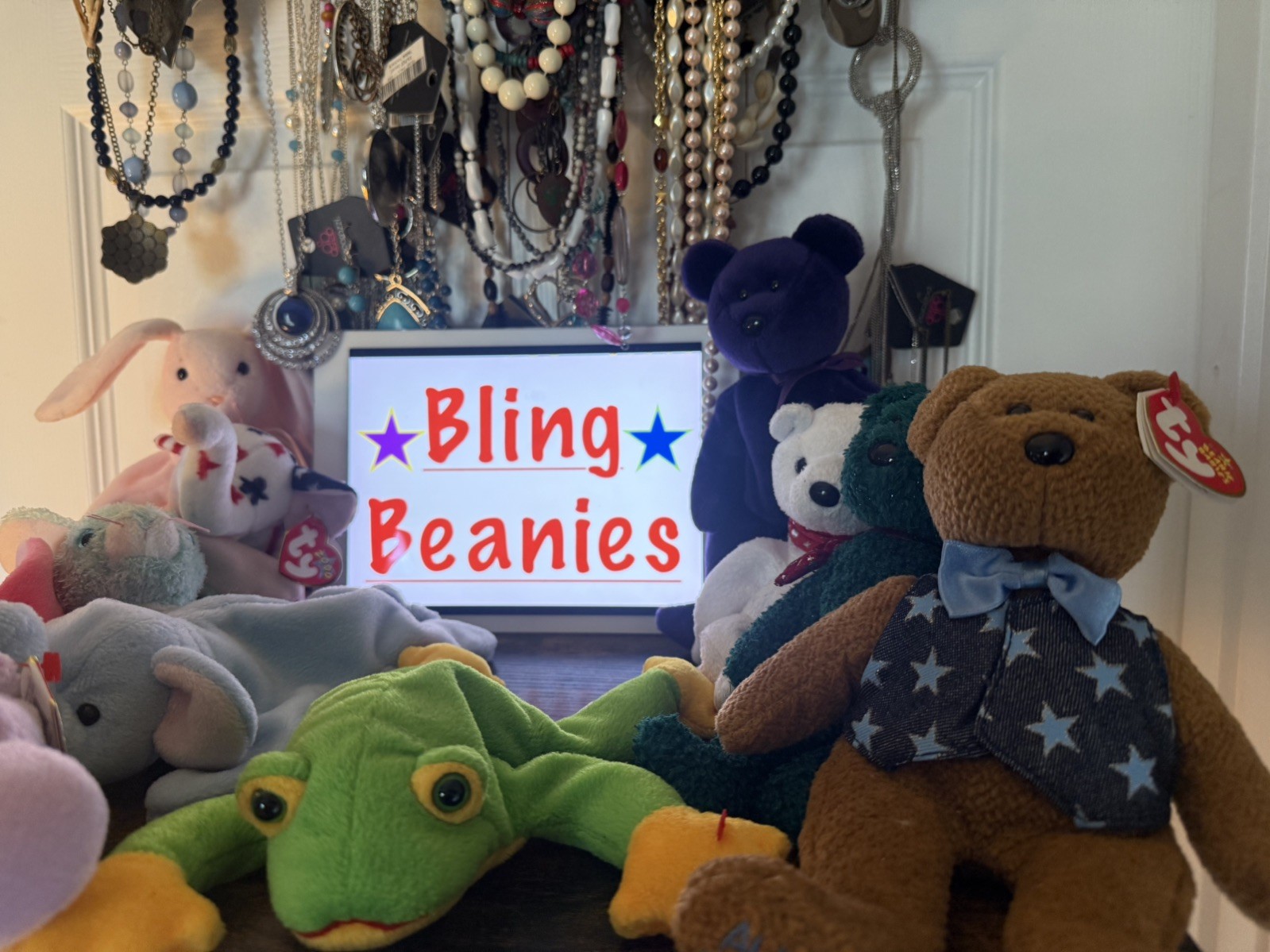 BLING BEANIES (Mystery Jewelry Jar) Free Shipping In US ALL Wearable New & Used