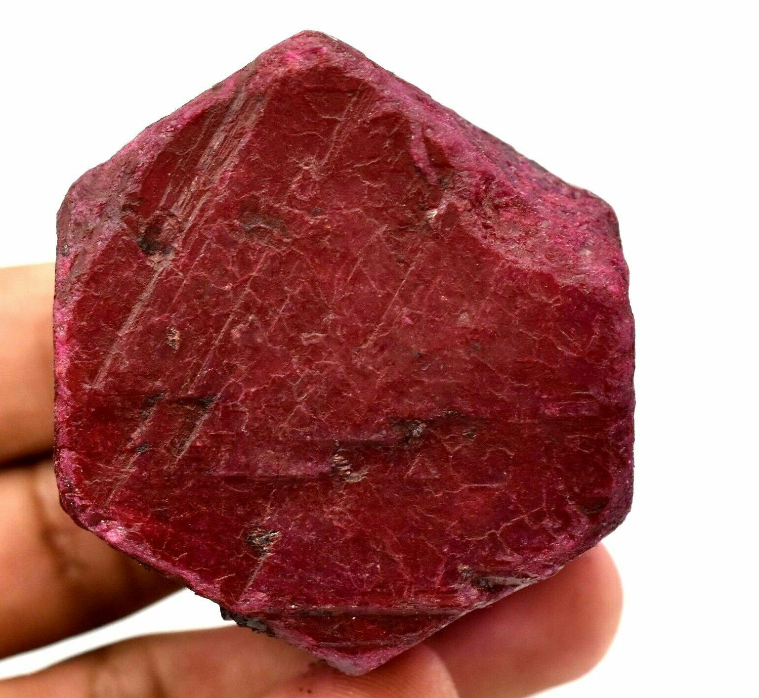 Natural Huge Red Mozambique Ruby Earth-Mined Color Enhanced Certified Rough !