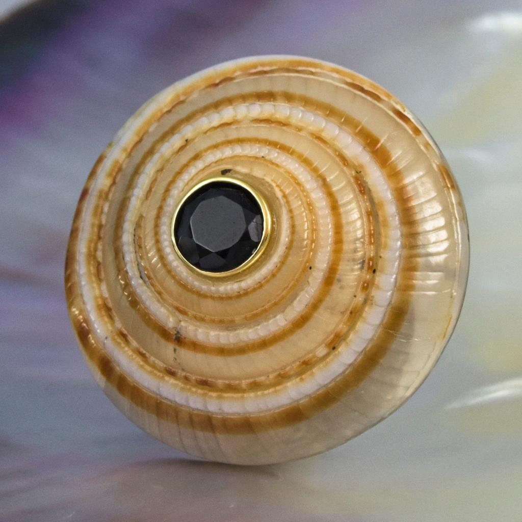 Evil Eye Design Natural Sea Snail Architectonica trochlearis Black Spinel 6.00g
