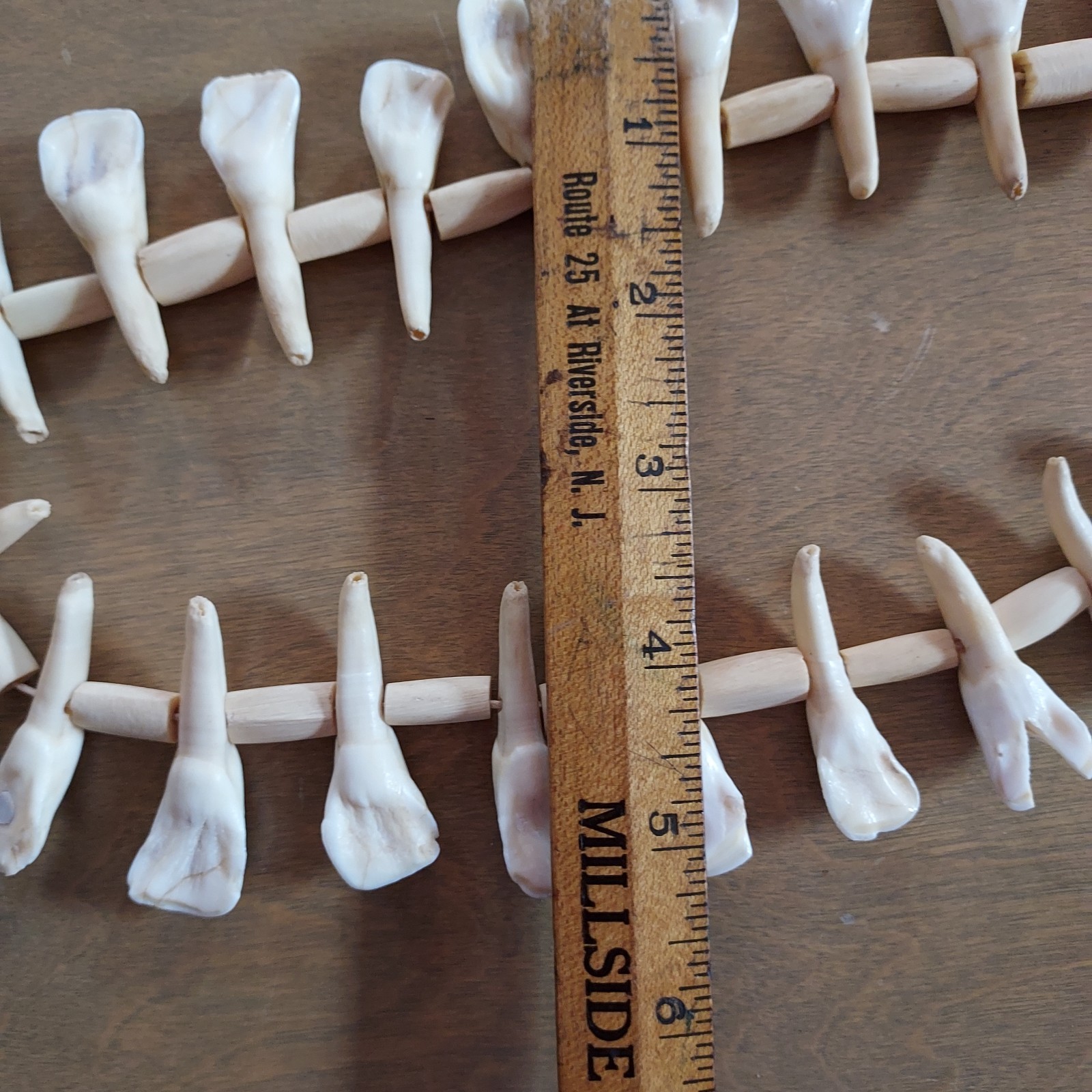 REAL Natural Vintage Tribal Ethnic Necklace Tooth / 20 TEETH + Animal BONES