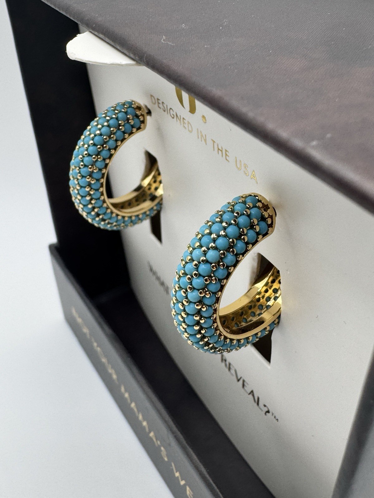 Bulletproof Belle Turquoise Magnesite & CZ Hoop Earrings Removable Charm ER36570