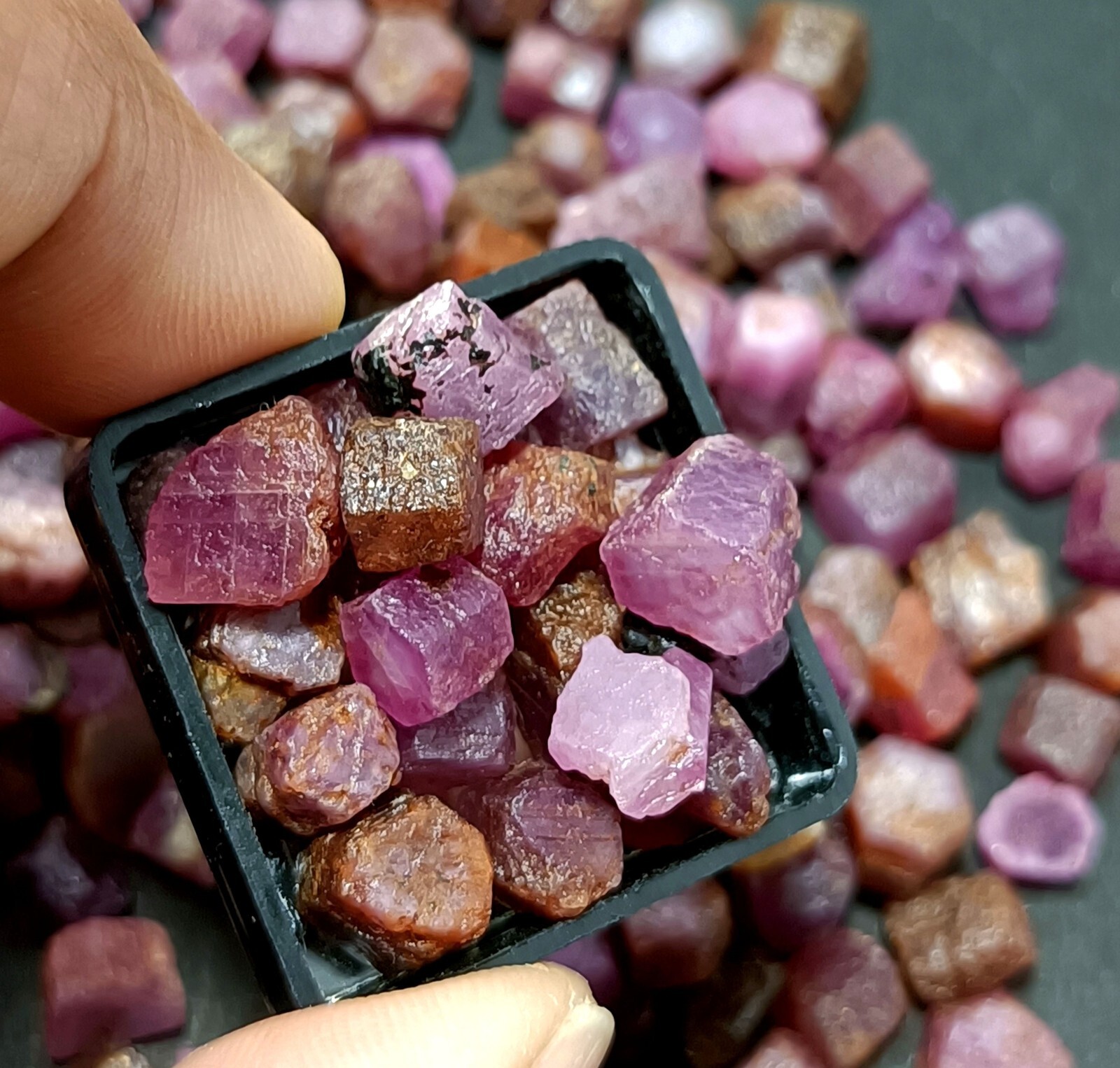 AAA+ Quality 100% Natural African Ruby Sapphire Unheated 50 Ct Loose Rough Lot