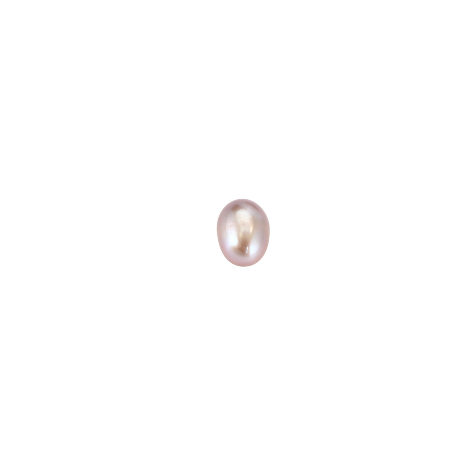 Pearl Clam Necklace With Stainless Steel Chain & Brass Fashion Jewelry For Women