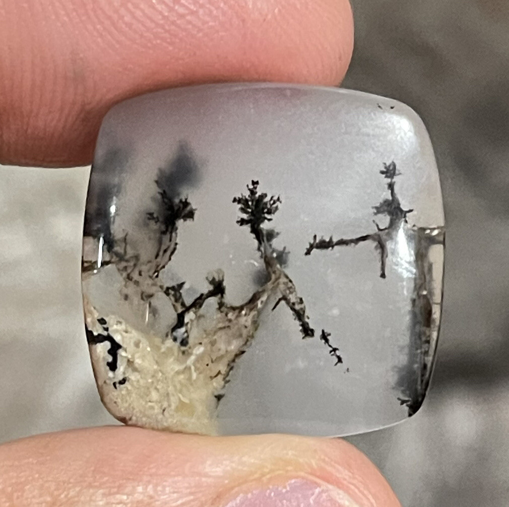 21.3ct 21x21x5.8mm Picture Like Dendrite Agate Smooth Cabochon Collector’s Stone