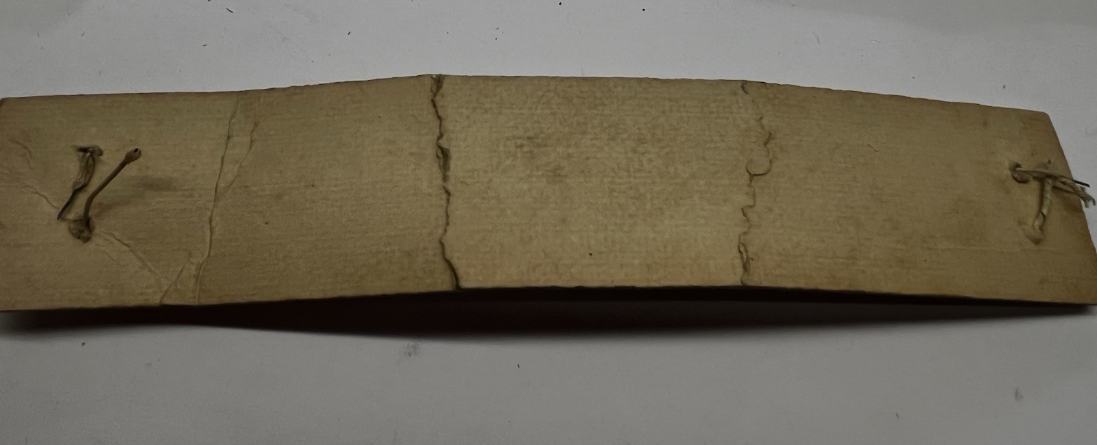 Yellow Gold Filled Men Kestenmade 1/20- 12kt NOS Wristwatch Band 15.56mm D61