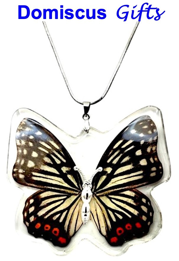 2 1/2″ NEW! Real INSECT White Black RED BUTTERFLY NECKLACE Jewelry PENDANT