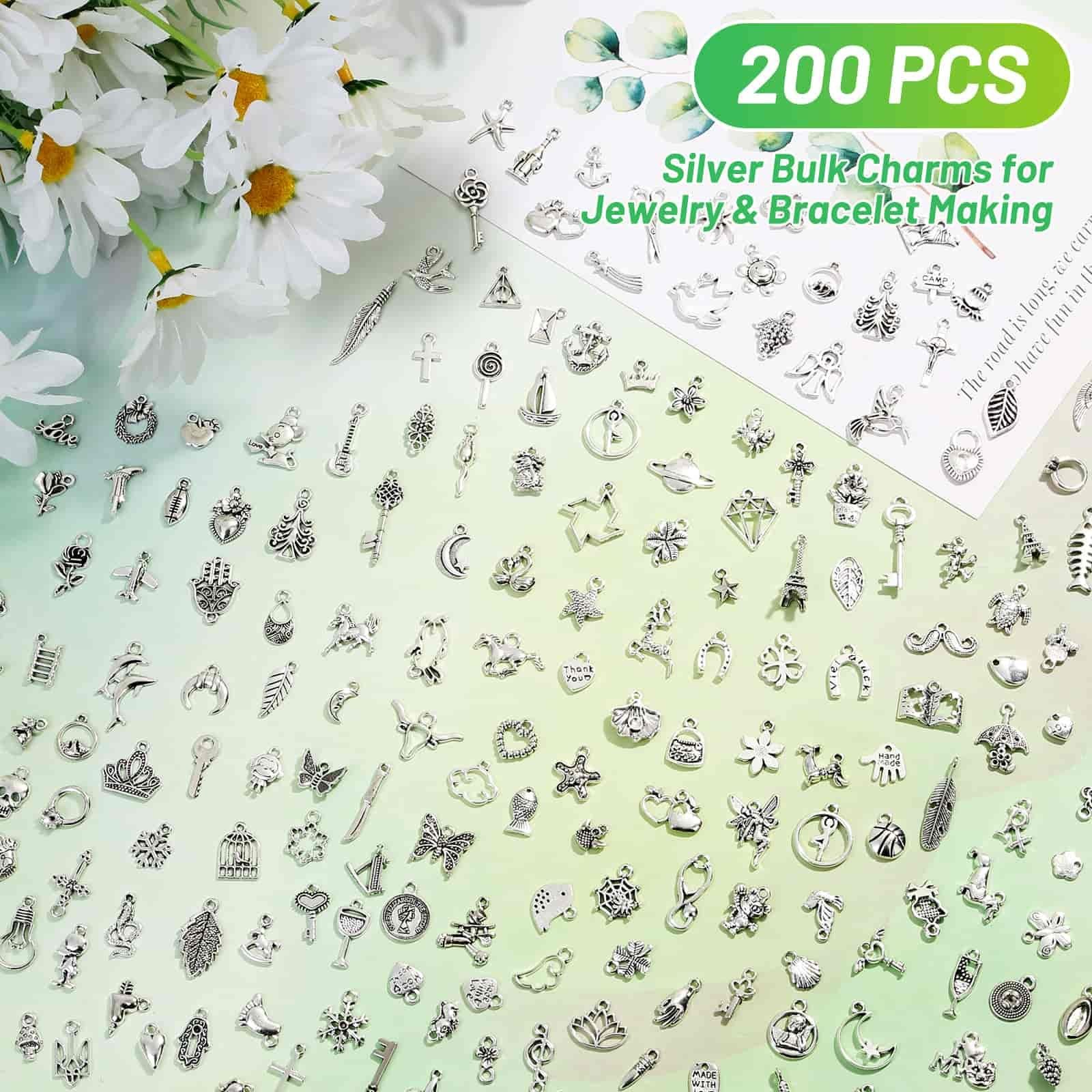 Acejoz 200Pcs Silver Charms for Jewelry Making and Bracelets, Small,