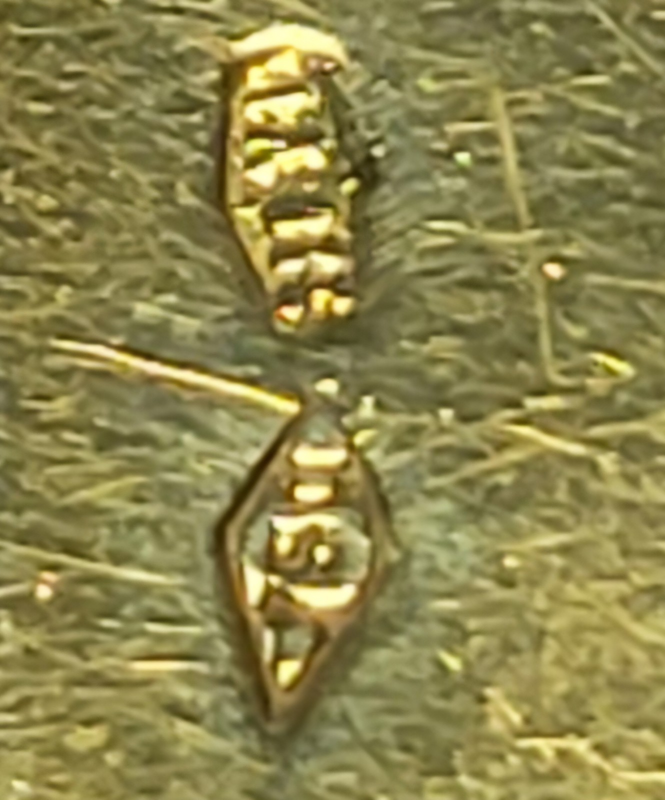 Large 18k Solid yellow Gold Blessed Virgin Mary Jesus’s Mother Religious Pendant