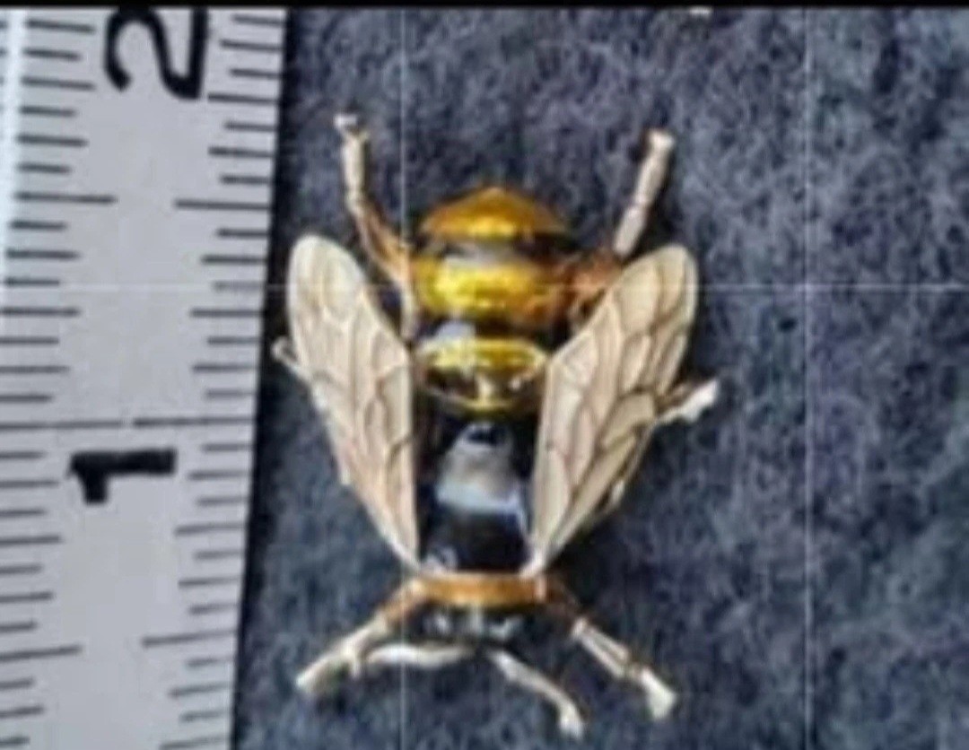 Bumblebee Bee Insect Bug Enamel Brooch Pin Lapel Lot Enamel Jewelry CA USA