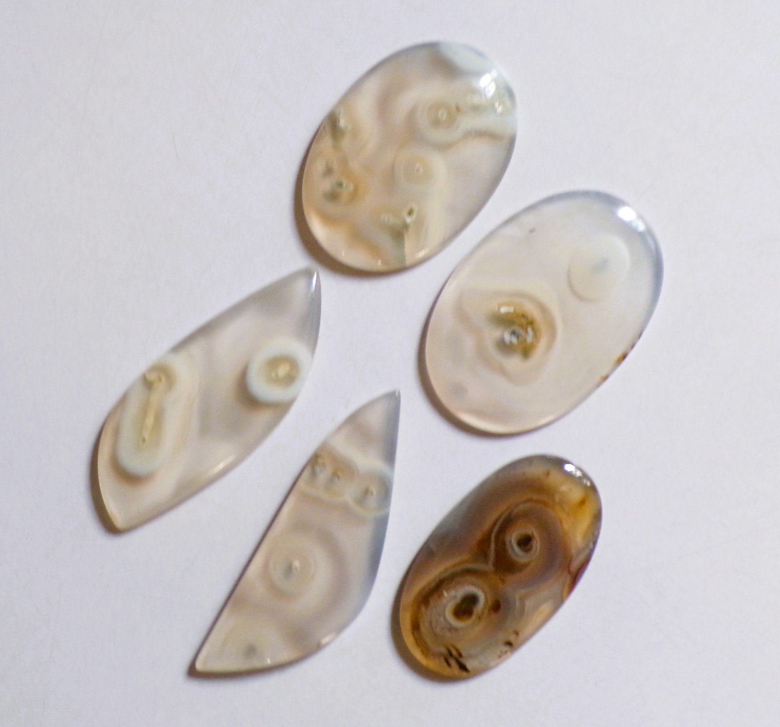 225.70 Cts Natural Orbicular Agate 05 Pcs Lot Loose Cabochon Gemstone 07