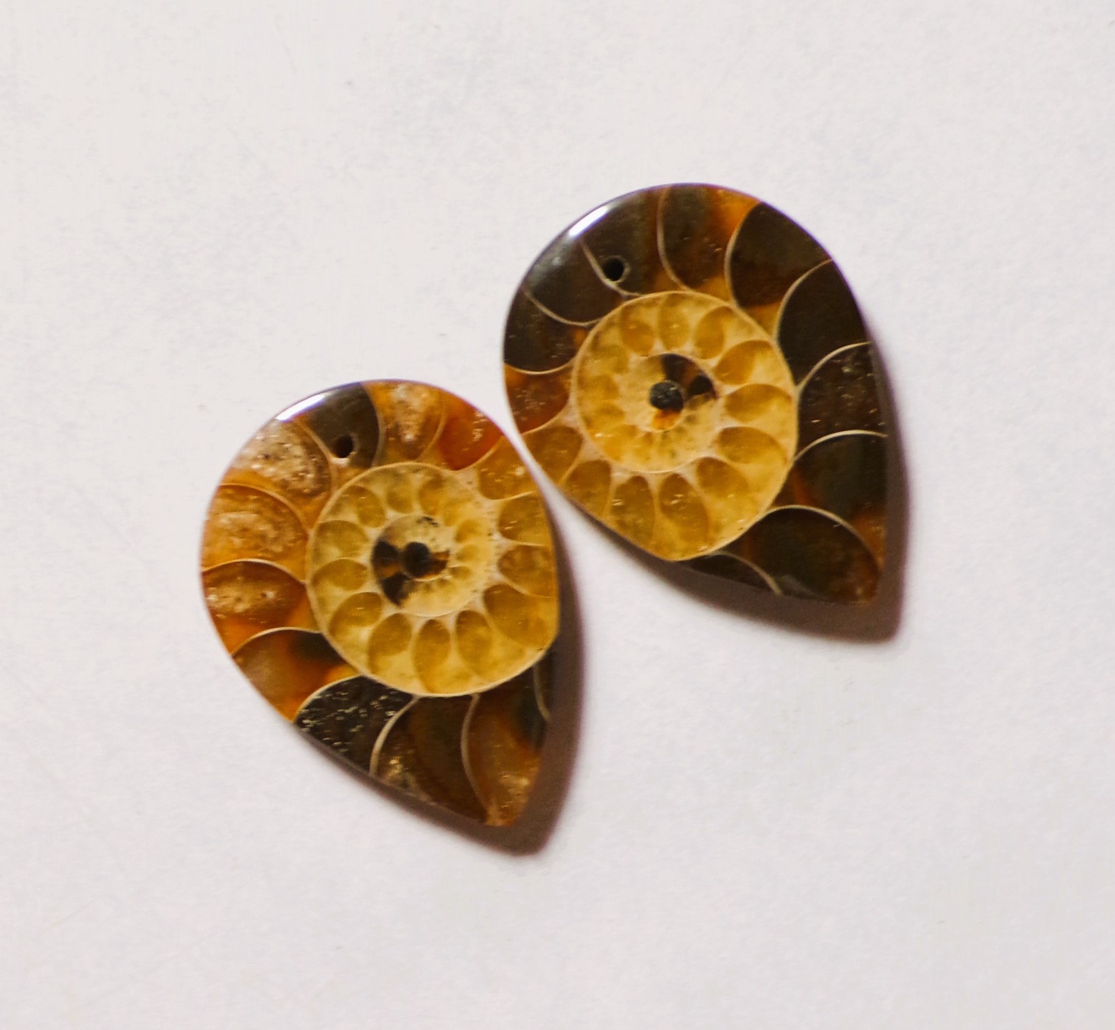 42.00 Cts Natural Ammonite Drilled Cabochon Match Pair Gemstone 27X20MM 180