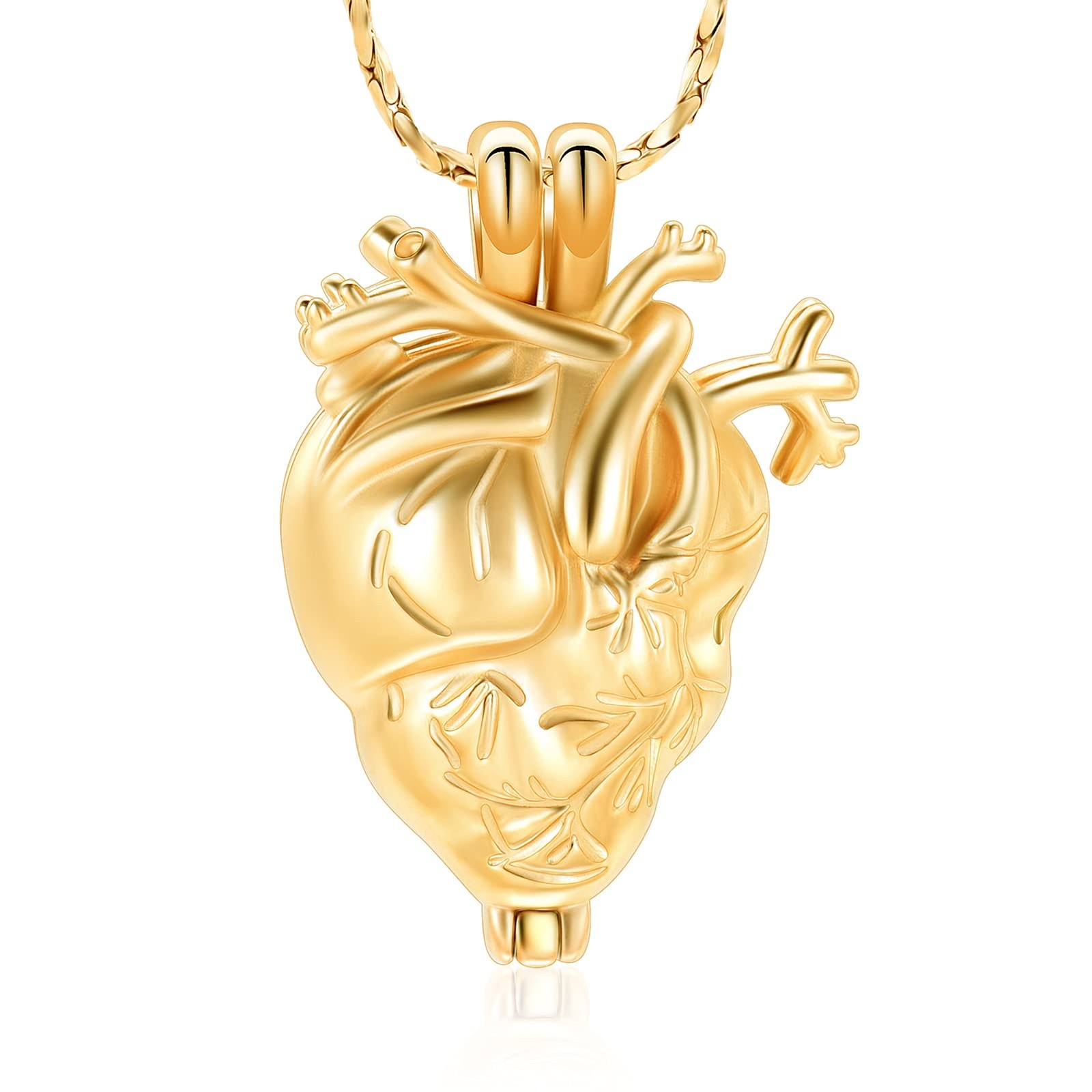 Cremation Jewelry Pendant Necklace for Ashes Holder – Anatomical Heart Urn Ne…