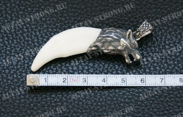 Wolf teeth jewelry Animal Teeth Wolf necklace Wolf head Tooth necklace Wolf