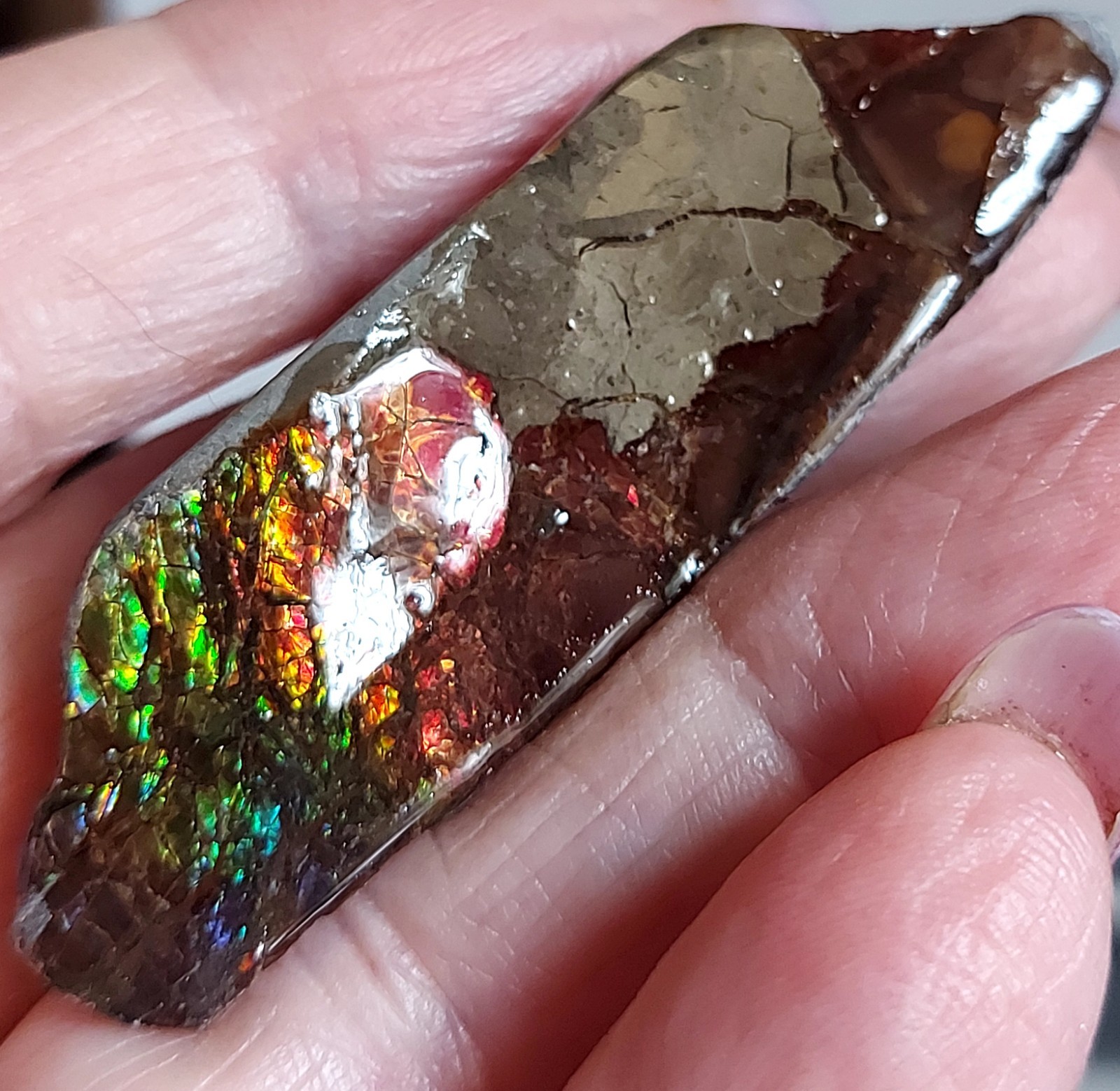 Ammolite Ammonite tabletop Display Piece 63.2×18.8×10.2mm 2930